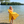 Serviette de plage bi-face Single Curry