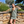 Short Beach Dress - Sixties Summer - Sage