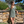 Short Beach Dress - Sixties Summer - Sage