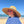 Poncho Coton Bio 4-8 ans - Outremer