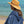 Femme de dos en bord de mer avec poncho outremer et chapeau de paille - Atelier Dune