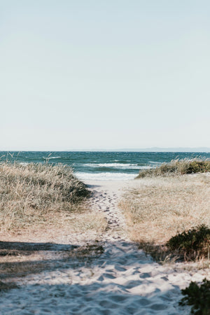 Chemin de sable vers une plage et la mer - Atelier Dune