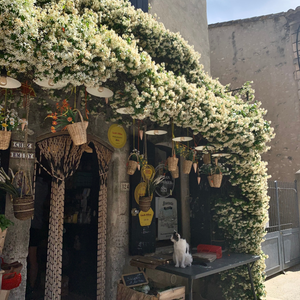 boutique avec devanture en fleurs - Atelier Dune