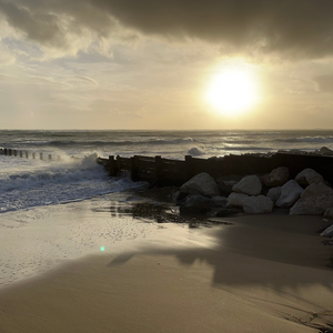 plage - atelier dune