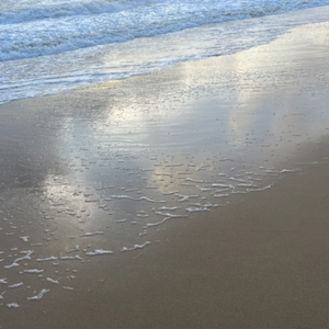 Plage - Atelier Dune