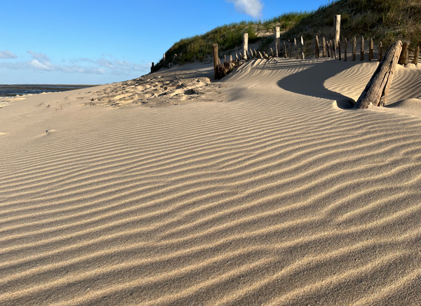 Plage - Atelier Dune